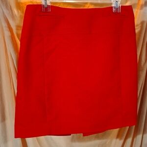Express Pencil Skirt